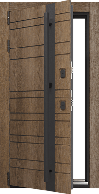 Входная  дверь Craftwood Design NoFrost 2P 6.1 Art  Муар металлик Антрацит